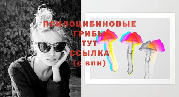 метамфетамин Богданович