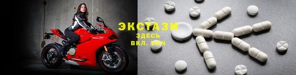 прущие грибы Богородицк