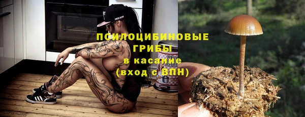 а пвп мука Богородск
