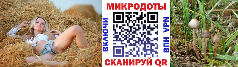 Псилоцибиновые грибы мицелий  как найти   Кедровый 